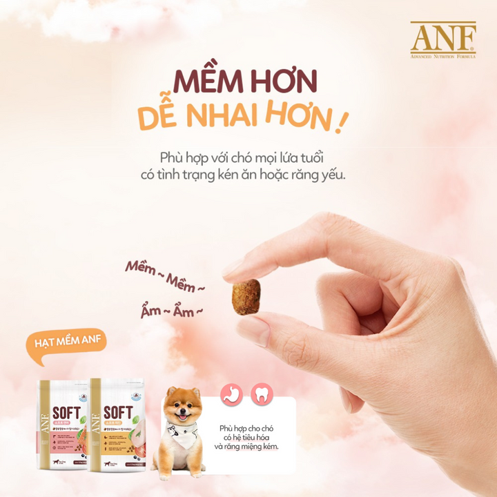 [1.2KG] Hạt Anf Soft Chó Mọi Lứa Tuổi