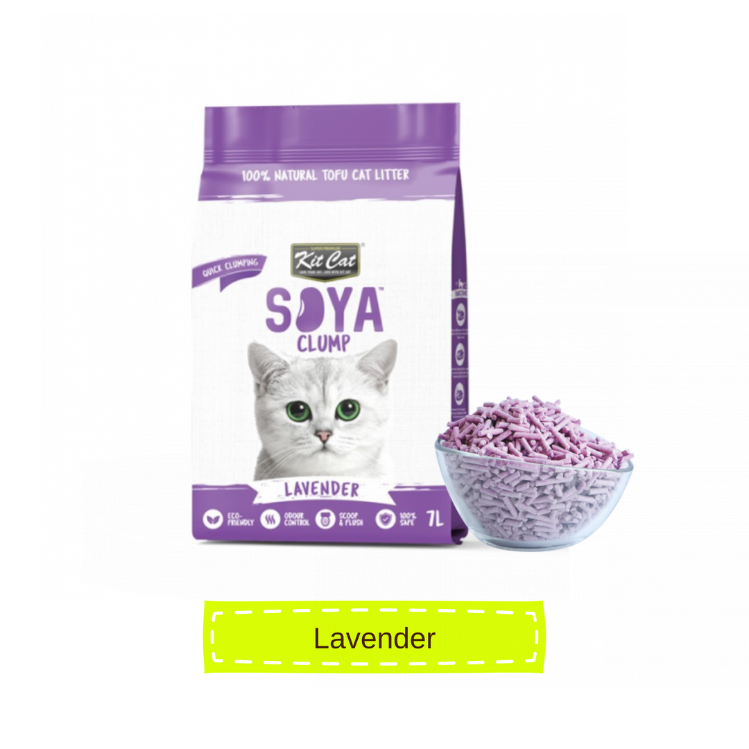 [7L] Cát Đậu Nành Kit Cat Mèo